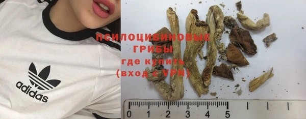 ешки Баксан