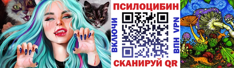 Галлюциногенные грибы Psilocybe  наркота  Нижний Новгород 